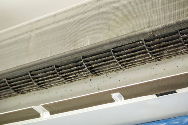 Best HVAC Duct Inspection Services  in Chehalis, WA