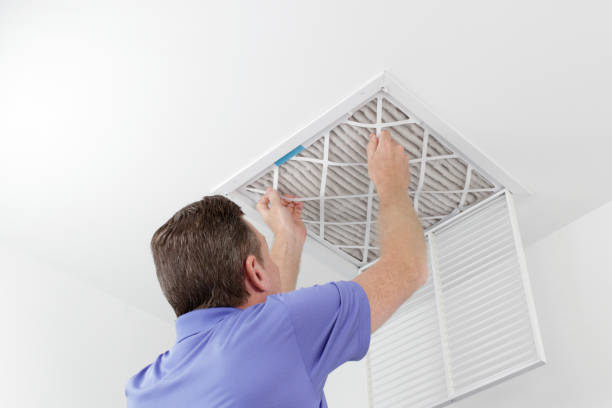 Air Duct Mold Removal in Chehalis, WA